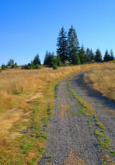 How Non-Profits Can Finance Land Acquisition